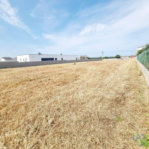 Terreno para Venda em Monte Real e Carvide Foto 5