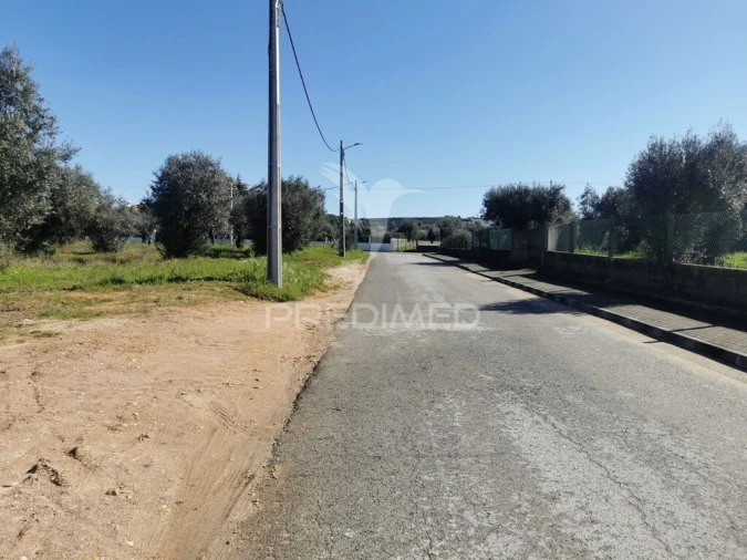 Terreno para Venda em Vila Nova da Barquinha Foto 3