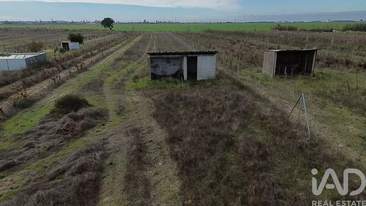 Terreno para Venda em Benfica do Ribatejo Foto 24