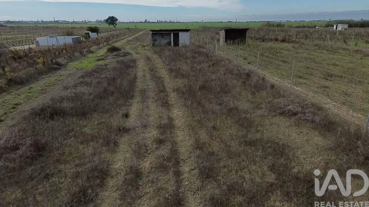 Terreno para Venda em Benfica do Ribatejo Foto 19