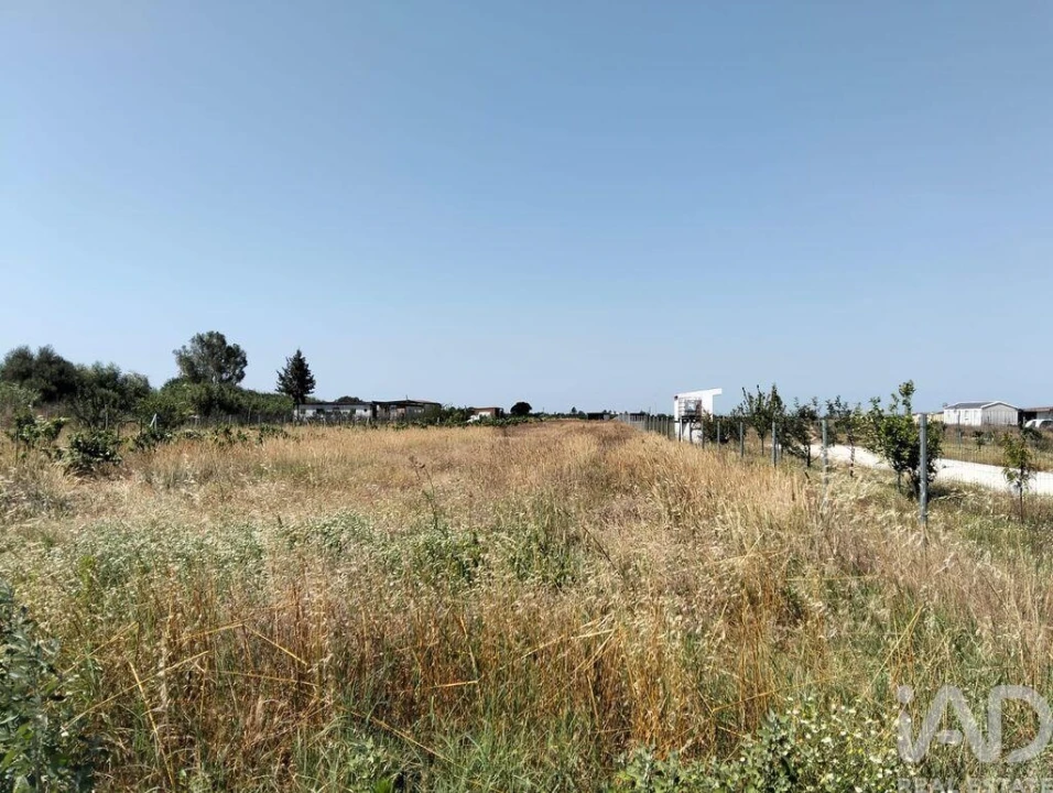 Terreno para Venda em Benfica do Ribatejo Foto 10