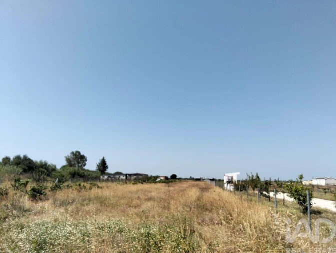 Terreno para Venda em Benfica do Ribatejo Foto 9