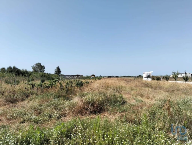 Terreno para Venda em Benfica do Ribatejo Foto 5