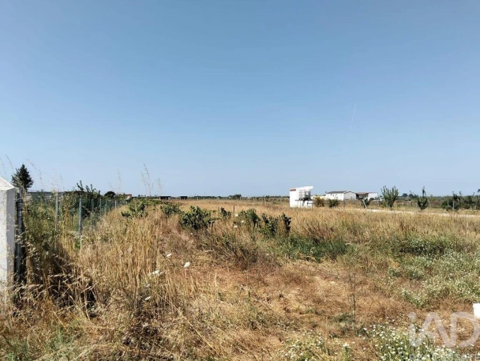 Terreno para Venda em Benfica do Ribatejo Foto 12