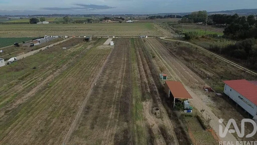 Terreno para Venda em Benfica do Ribatejo Foto 29