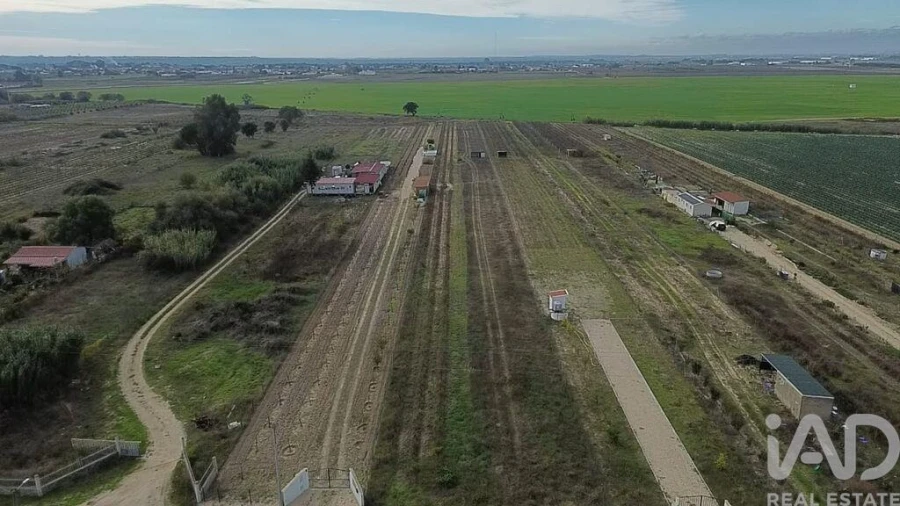 Terreno para Venda em Benfica do Ribatejo Foto 20