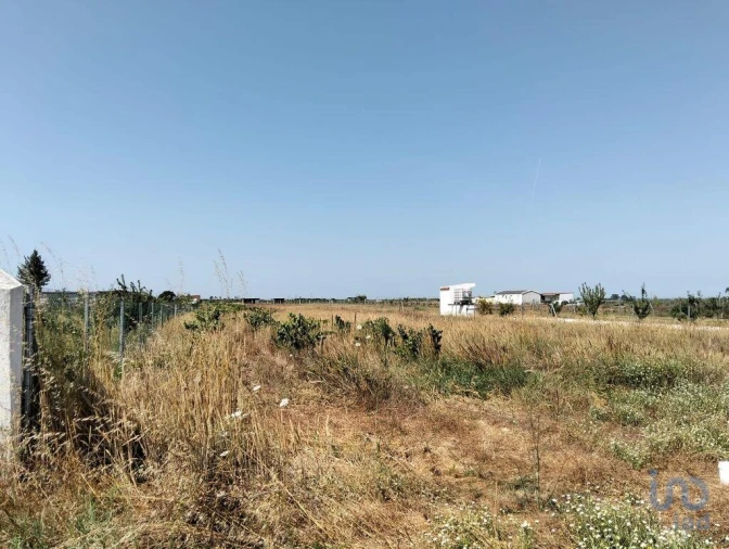 Terreno para Venda em Benfica do Ribatejo Foto 4