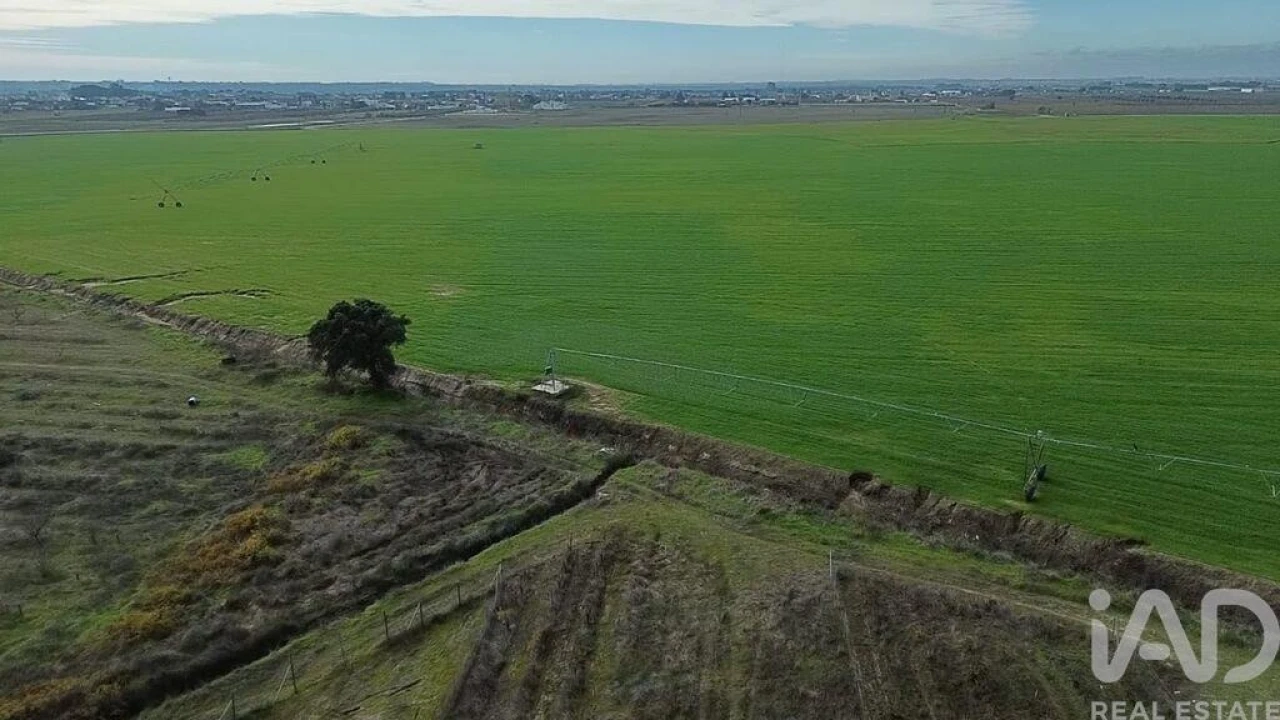 Terreno para Venda em Benfica do Ribatejo Foto 17