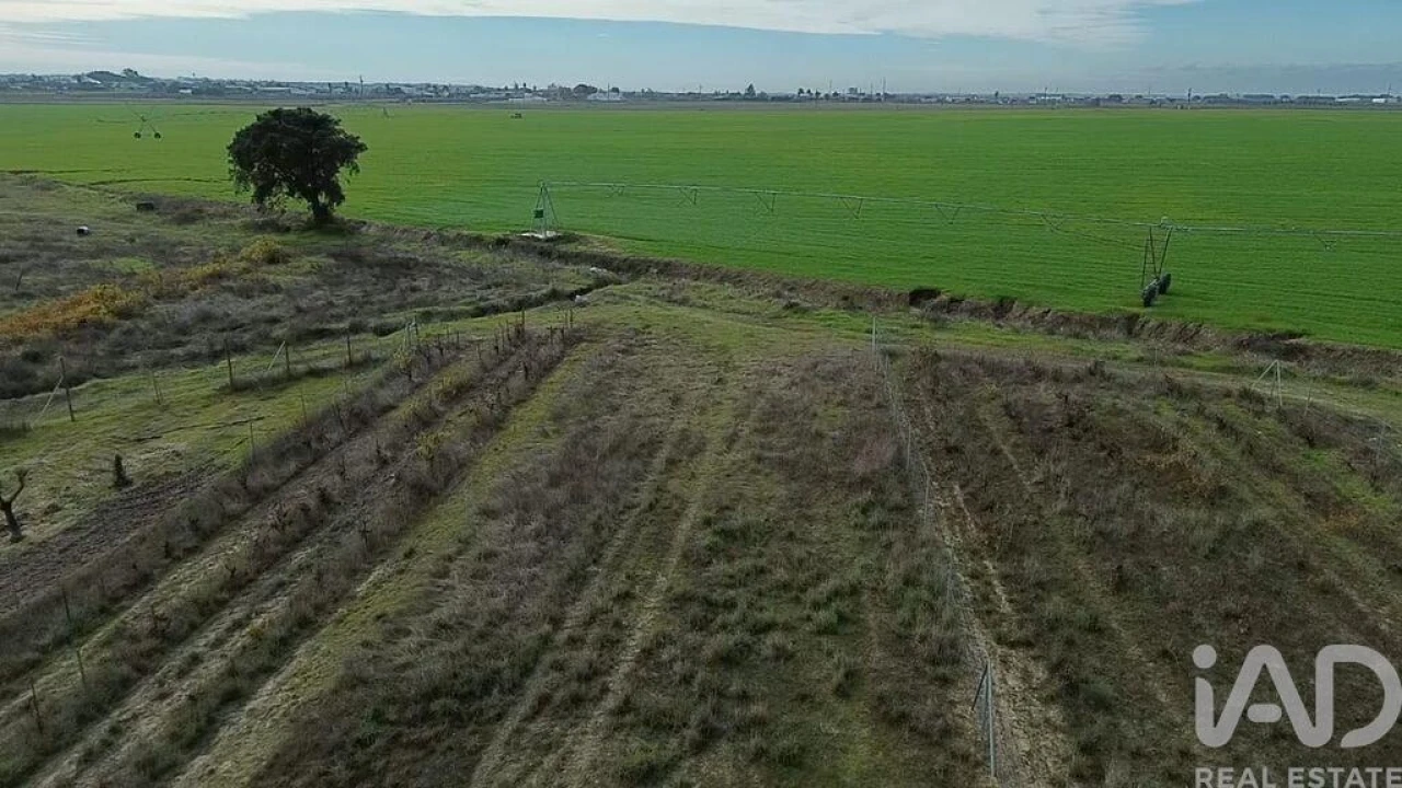 Terreno para Venda em Benfica do Ribatejo Foto 16
