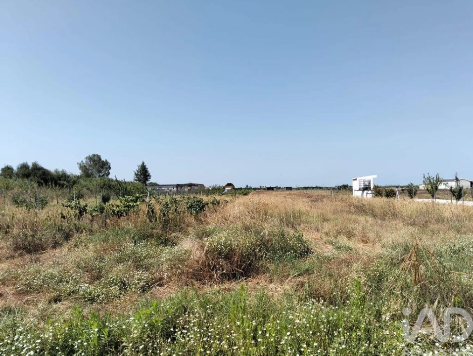 Terreno para Venda em Benfica do Ribatejo Foto 11