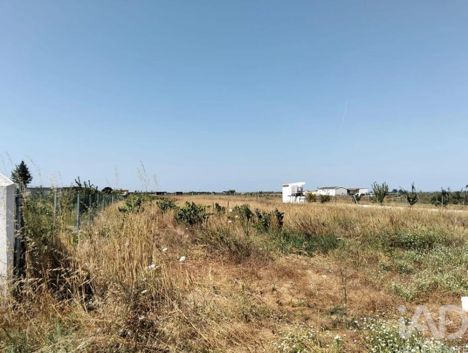 Terreno para Venda em Benfica do Ribatejo Foto 12