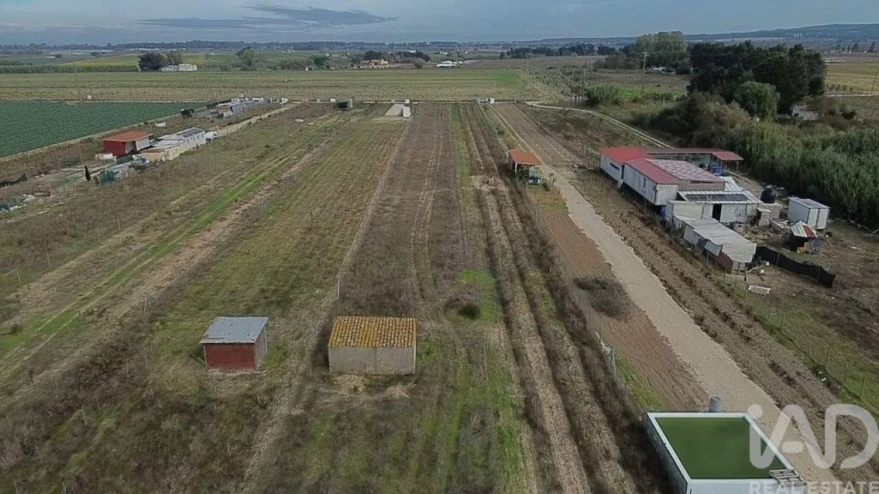 Terreno para Venda em Benfica do Ribatejo Foto 14