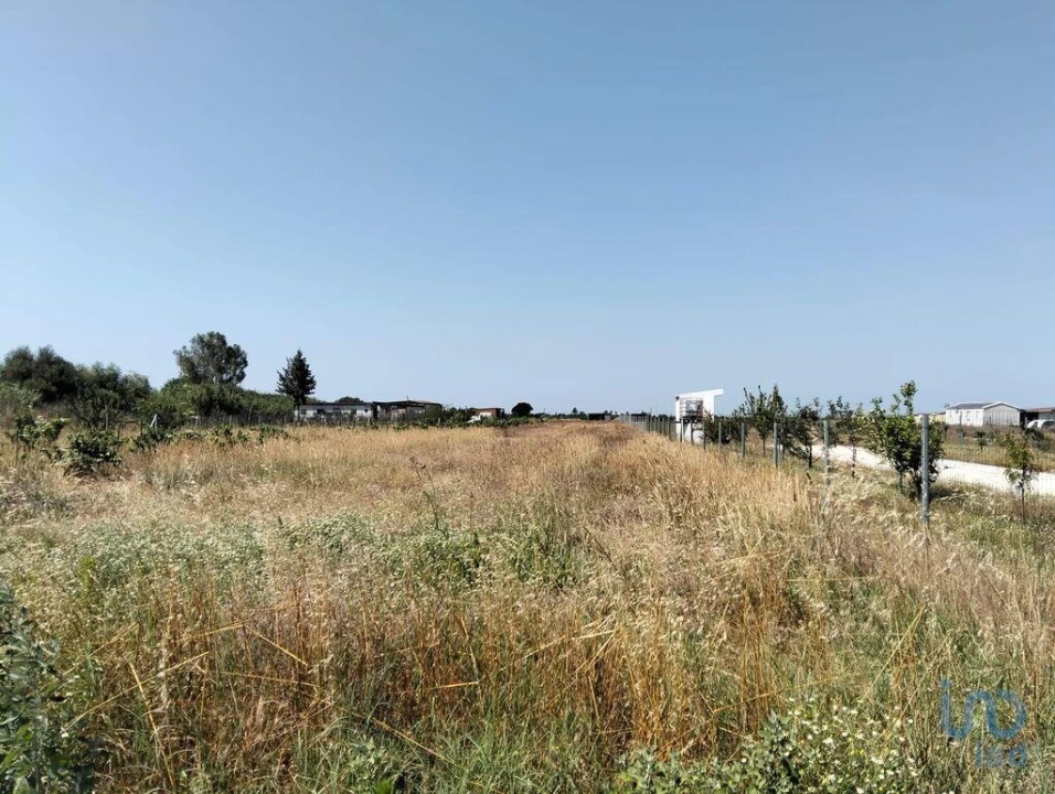 Terreno para Venda em Benfica do Ribatejo Foto 3