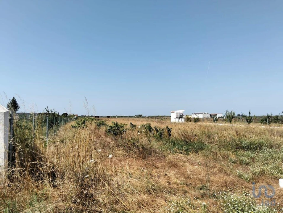 Terreno para Venda em Benfica do Ribatejo Foto 4
