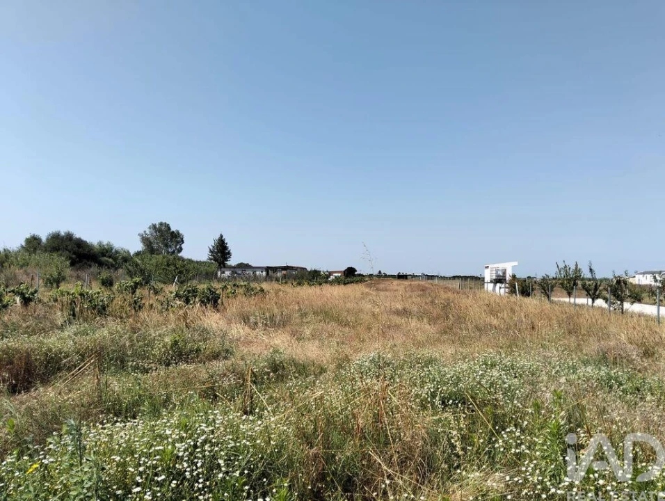 Terreno para Venda em Benfica do Ribatejo Foto 8