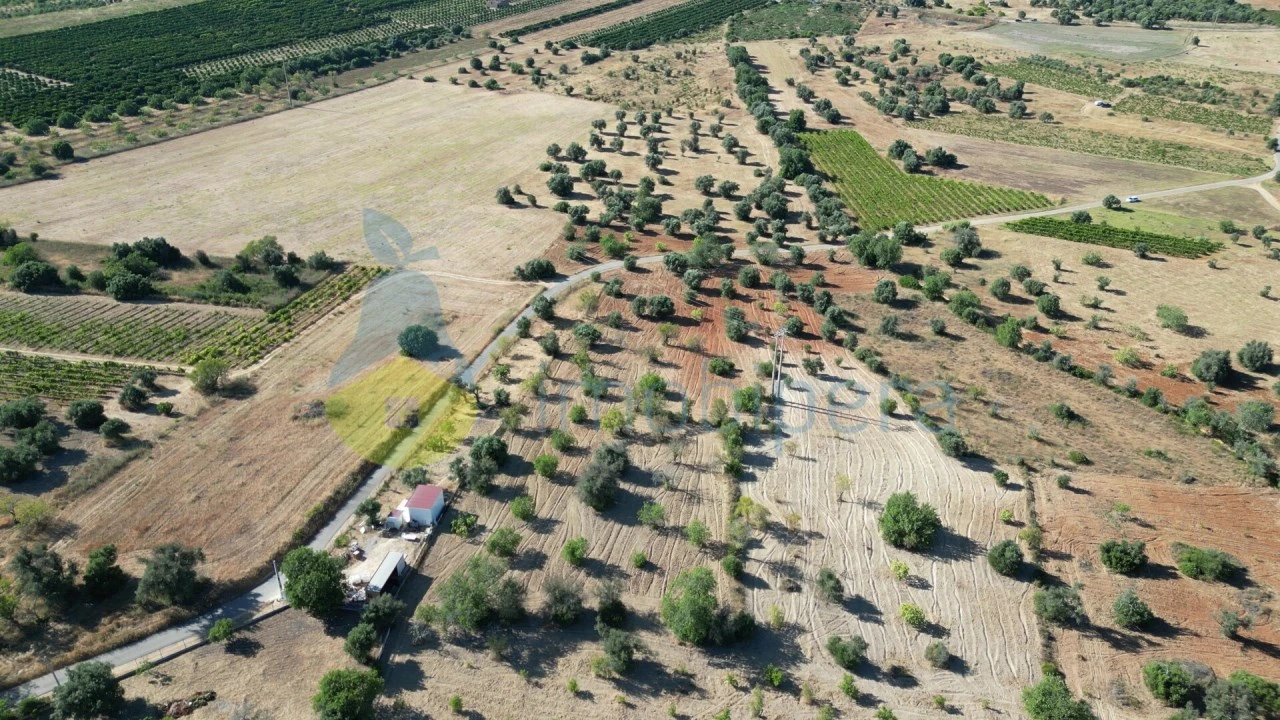 Terreno Agricola ou Rústico para Venda em Algoz e Tunes Foto 3