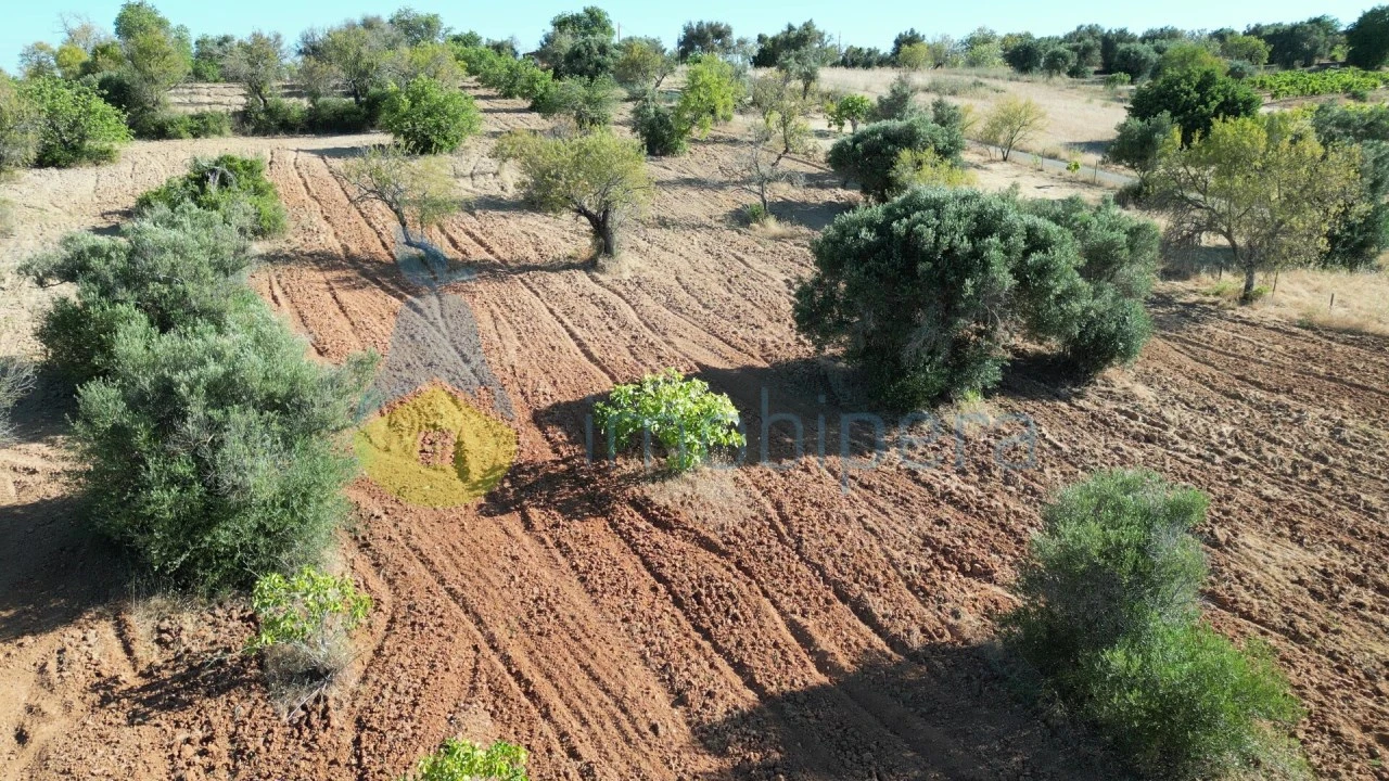 Terreno Agricola ou Rústico para Venda em Algoz e Tunes Foto 7