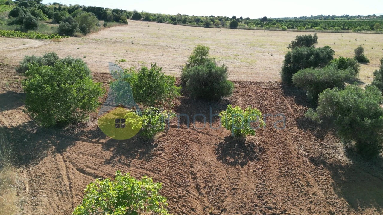 Terreno Agricola ou Rústico para Venda em Algoz e Tunes Foto 8
