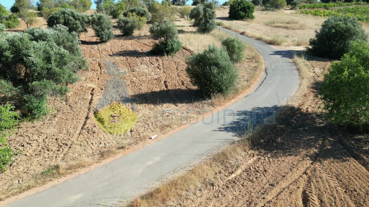 Terreno Agricola ou Rústico para Venda em Algoz e Tunes Foto 9