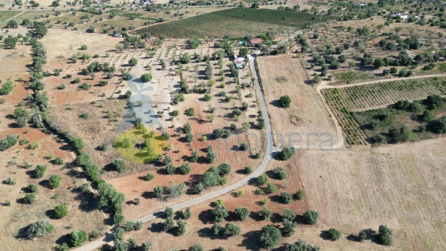 Terreno Agricola ou Rústico para Venda em Algoz e Tunes Foto 2