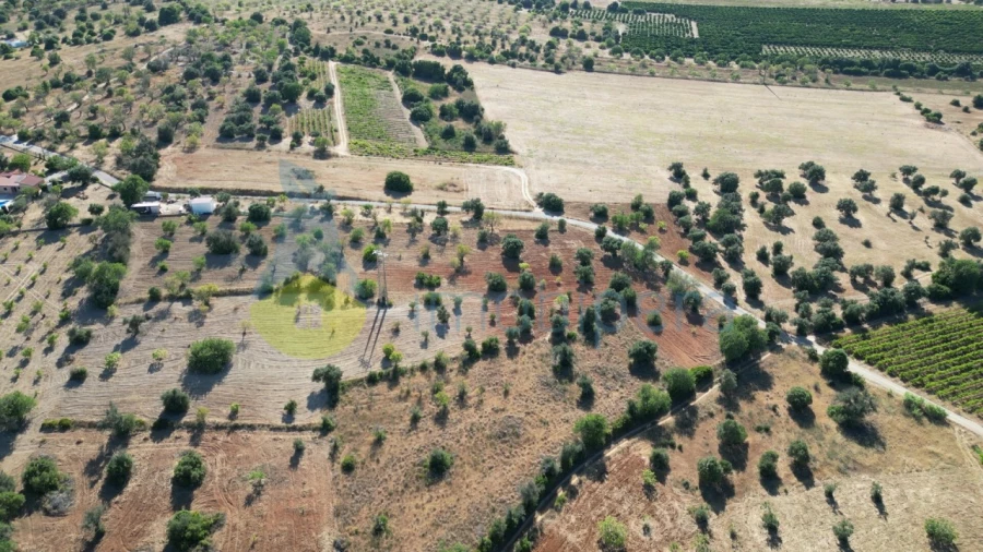 Terreno Agricola ou Rústico para Venda em Algoz e Tunes Foto 4