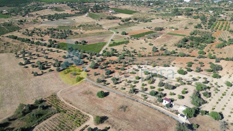 Terreno Agricola ou Rústico para Venda em Algoz e Tunes Foto 5