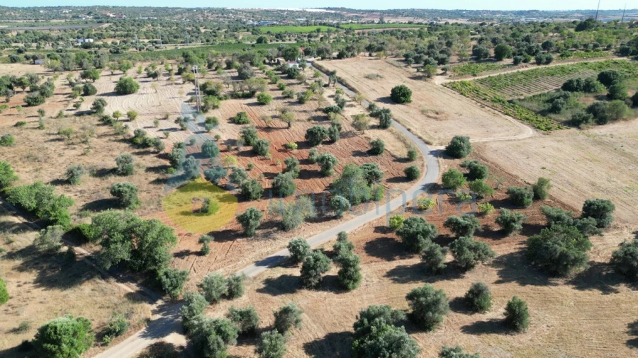 Terreno Agricola ou Rústico para Venda em Algoz e Tunes Foto 6
