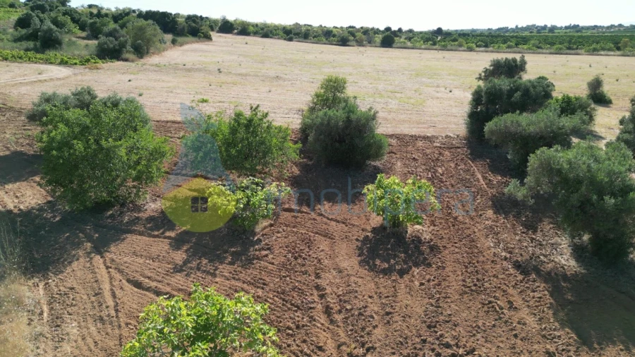 Terreno Agricola ou Rústico para Venda em Algoz e Tunes Foto 8