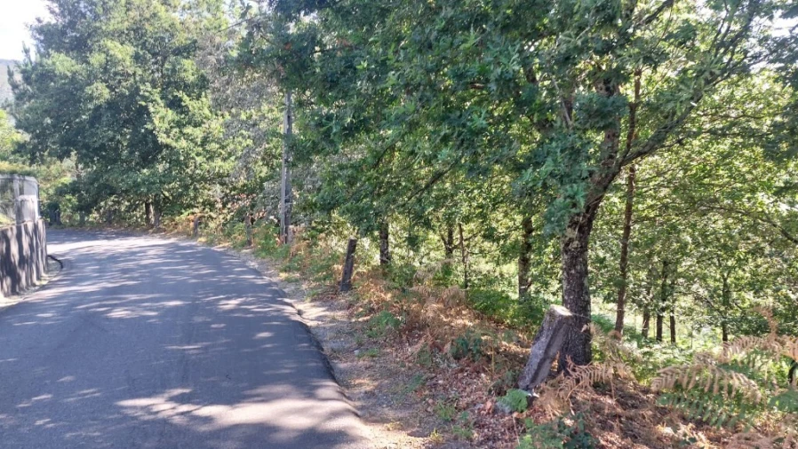 Moradia T3 para Venda em Guilhofrei Foto 21