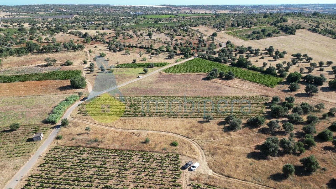 Terreno Agricola ou Rústico para Venda em Algoz e Tunes Foto 5