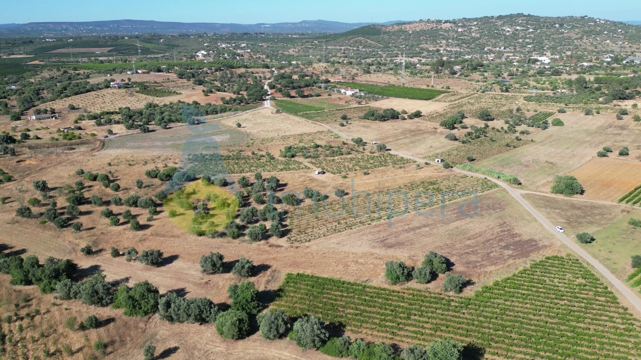 Terreno Agricola ou Rústico para Venda em Algoz e Tunes Foto 6