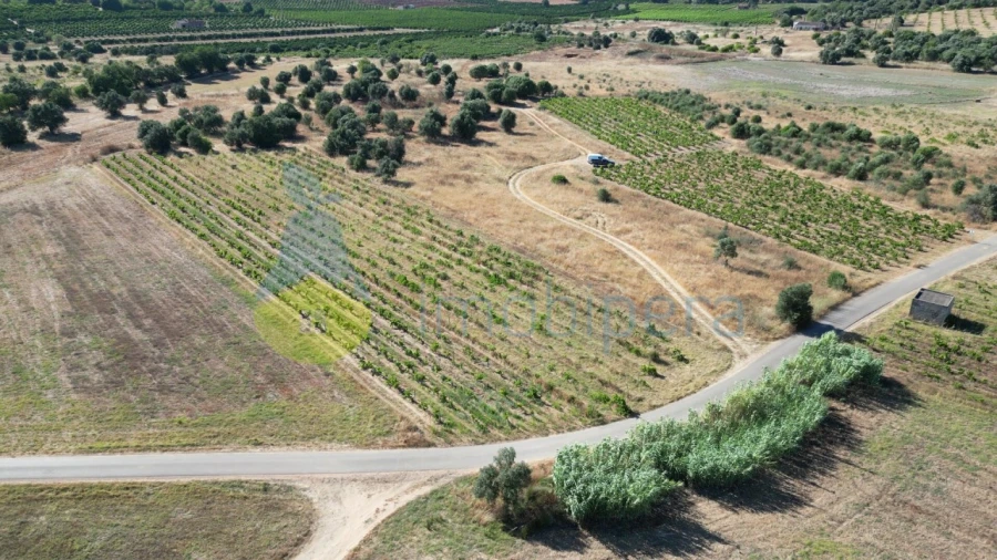 Terreno Agricola ou Rústico para Venda em Algoz e Tunes Foto 2