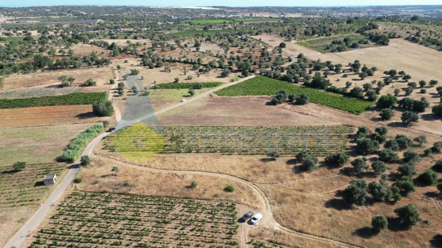 Terreno Agricola ou Rústico para Venda em Algoz e Tunes Foto 5