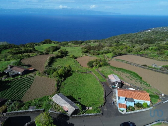 Terreno para Venda em Ribeirinha Foto 5