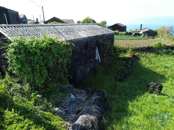 Terreno para Venda em Ribeirinha Foto 8