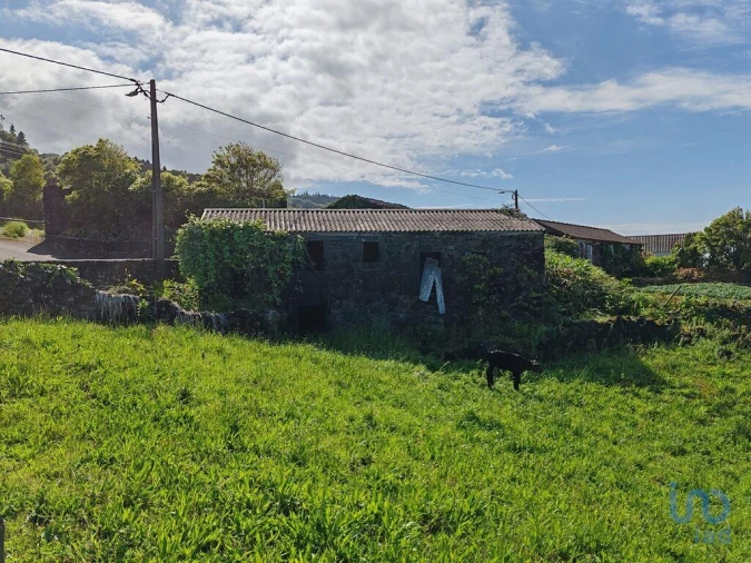 Terreno para Venda em Ribeirinha Foto 7