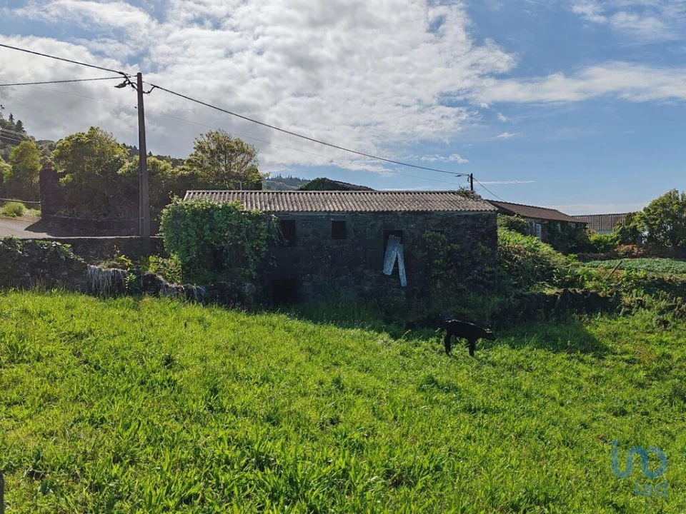 Terreno para Venda em Ribeirinha Foto 7