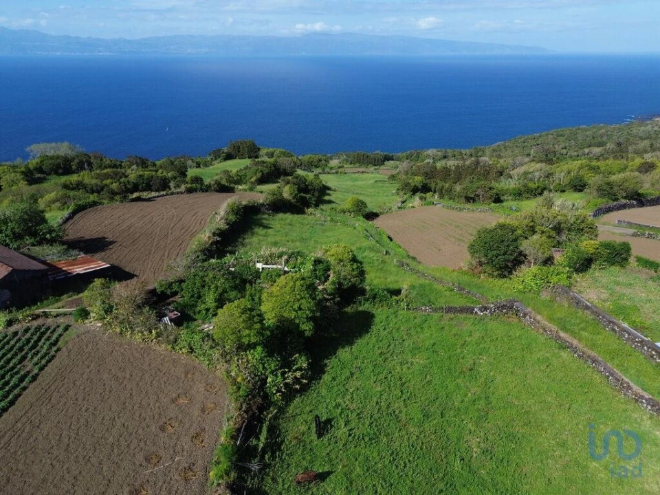 Terreno para Venda em Ribeirinha Foto 4