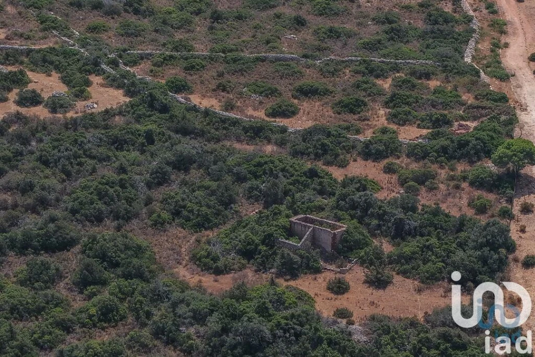 Terreno para Venda em Porches Foto 12