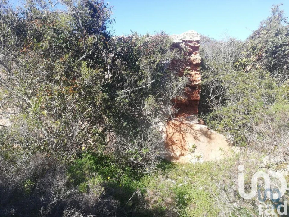 Terreno para Venda em Porches Foto 5