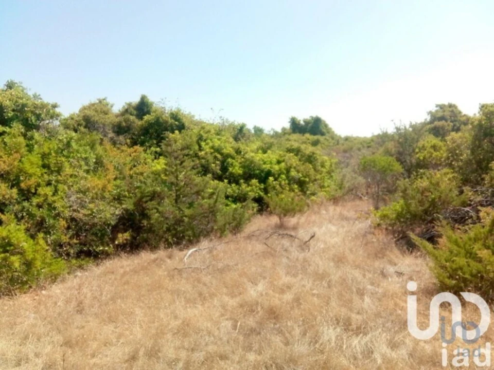 Terreno para Venda em Porches Foto 6