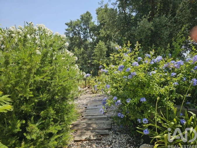 Moradia T3 para Venda em Almoster Foto 23