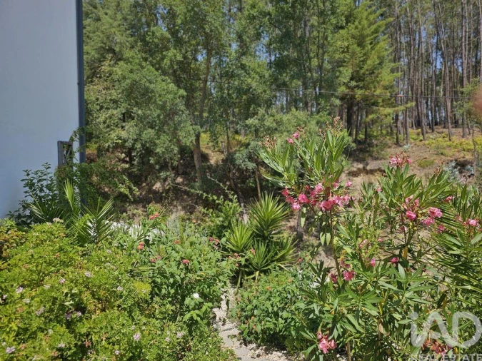 Moradia T3 para Venda em Almoster Foto 24