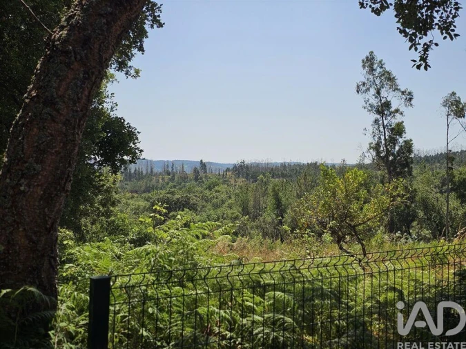 Moradia T3 para Venda em Almoster Foto 19