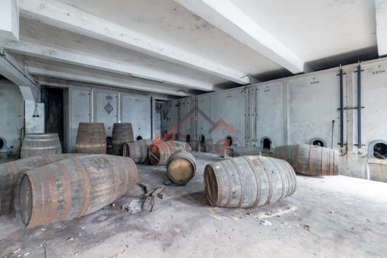 Armazém para Venda em Aguas Santas Foto 10