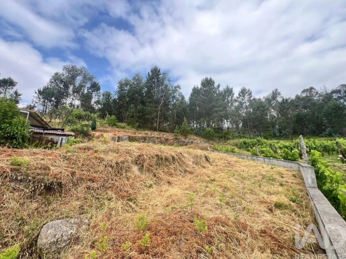 Terreno para Venda em Mancelos Foto 23