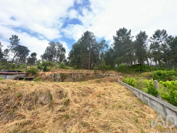 Terreno para Venda em Mancelos Foto 21