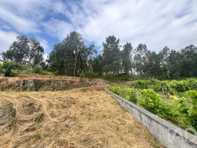 Terreno para Venda em Mancelos Foto 22