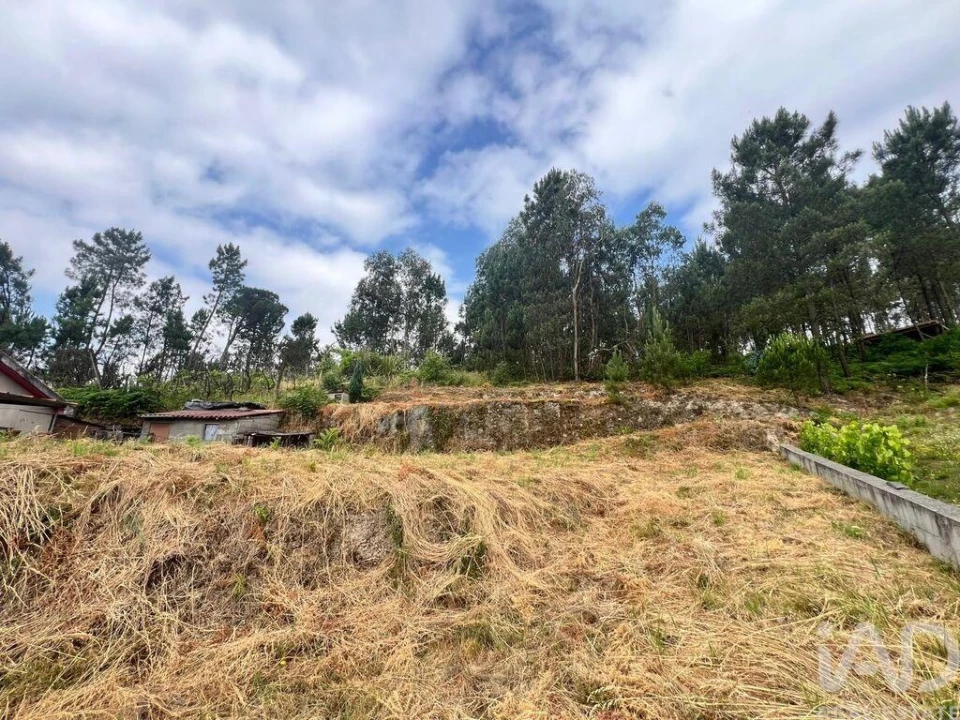 Terreno para Venda em Mancelos Foto 20