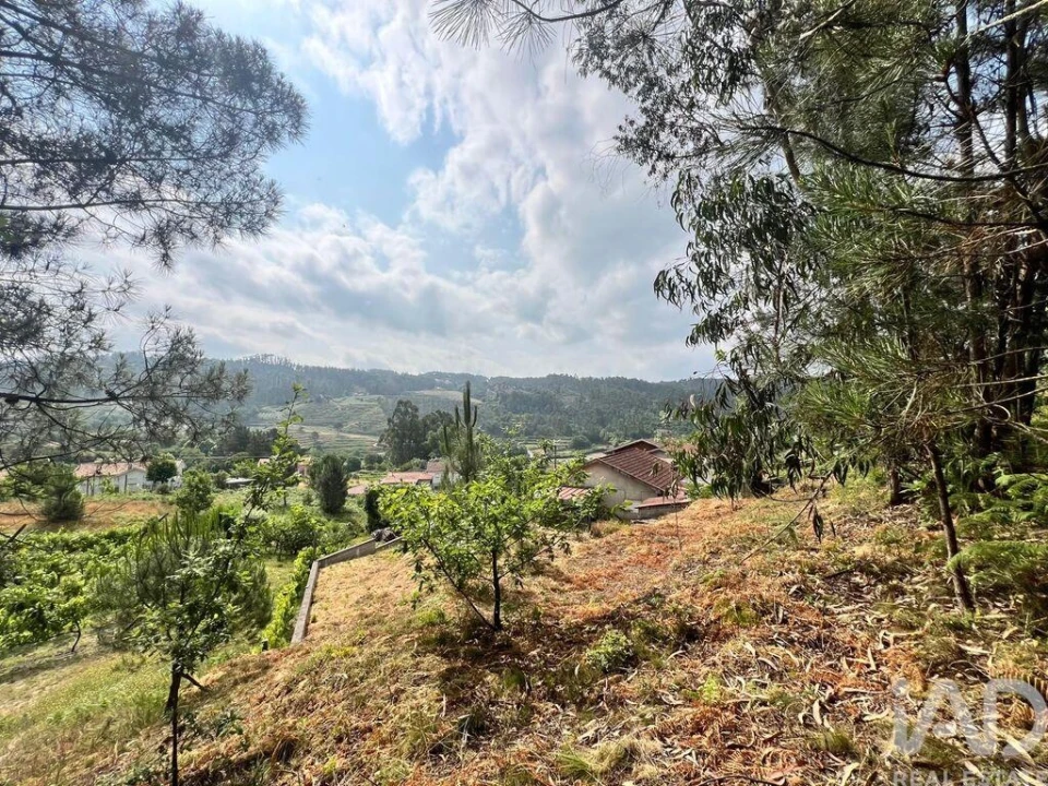 Terreno para Venda em Mancelos Foto 28